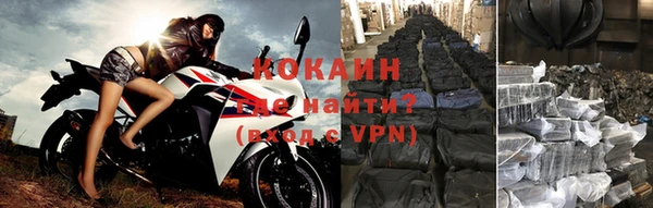 PSILOCYBIN Дмитриев