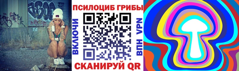 Псилоцибиновые грибы Cubensis  Георгиевск 